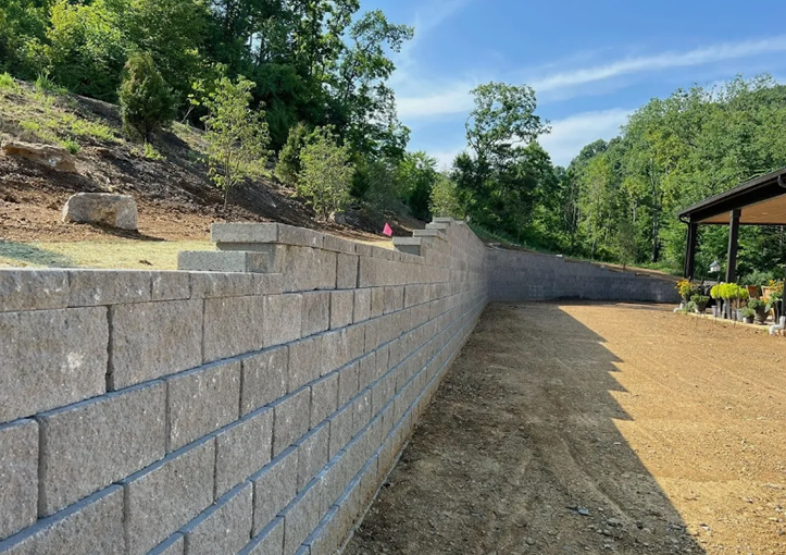 portfolio-walls